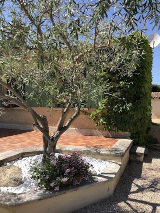 La Pitchoune : Gite Aux Pieds Des Alpilles Mouries Luaran gambar